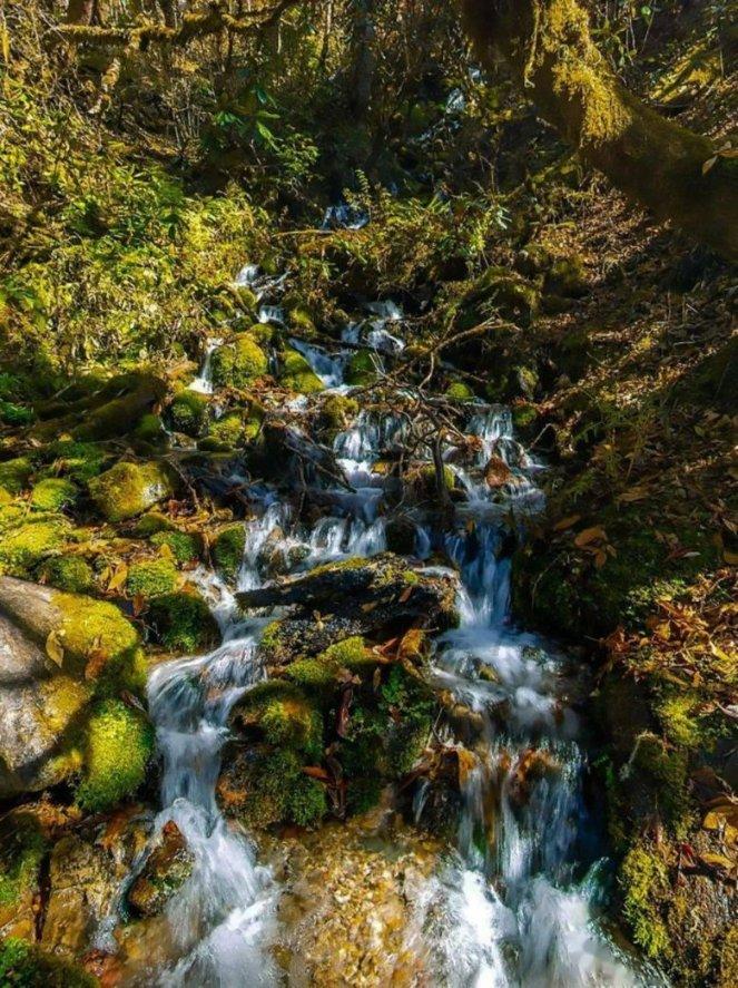 中药“药气”也能治病?用熏闻、热敷,治鼻窦炎、足跟痛、呃逆